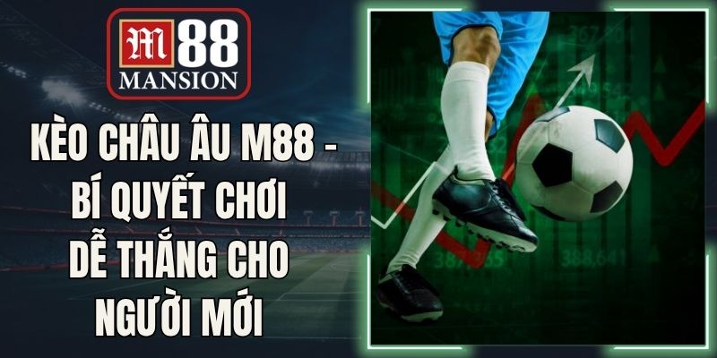 Kèo Châu Âu M88 - Bí Quyết Chơi Dễ Thắng Cho Người Mới